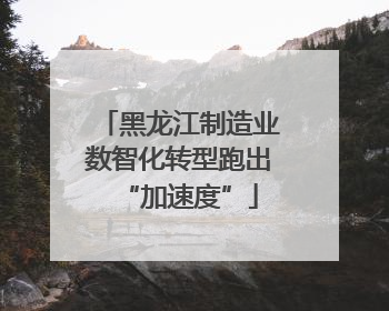 黑龙江制造业数智化转型跑出“加速度”