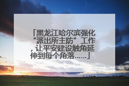 黑龙江哈尔滨强化“派出所主防”工作，让平安建设触角延伸到每个角落……