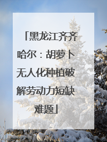 黑龙江齐齐哈尔：胡萝卜无人化种植破解劳动力短缺难题