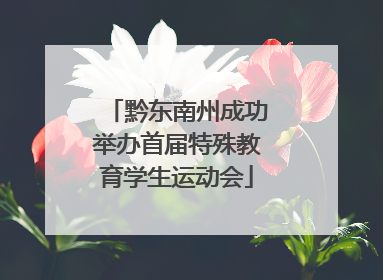 黔东南州成功举办首届特殊教育学生运动会