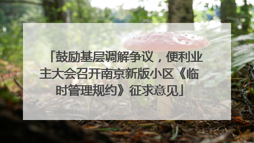 鼓励基层调解争议，便利业主大会召开南京新版小区《临时管理规约》征求意见