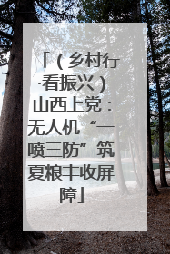 （乡村行·看振兴）山西上党：无人机“一喷三防”筑夏粮丰收屏障