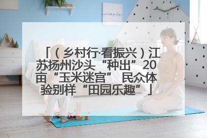 （乡村行·看振兴）江苏扬州沙头“种出”20亩“玉米迷宫” 民众体验别样“田园乐趣”