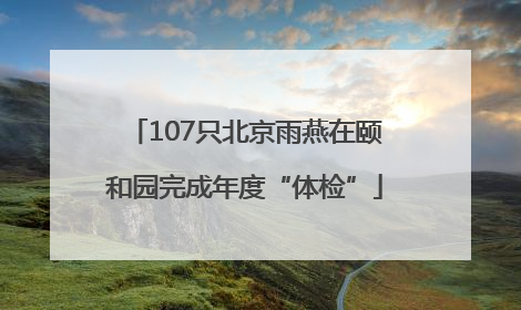 107只北京雨燕在颐和园完成年度“体检”
