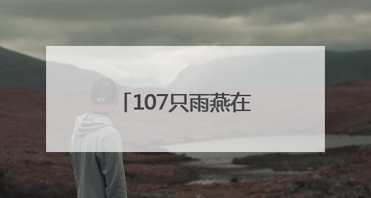 107只雨燕在颐和园完成“年度体检”,北京雨燕数量已超一万只