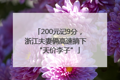 200元记9分，浙江夫妻俩高速摘下“天价李子”