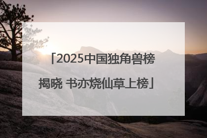 2025中国独角兽榜揭晓 书亦烧仙草上榜