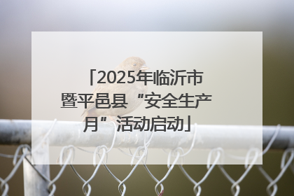 2025年临沂市暨平邑县“安全生产月”活动启动