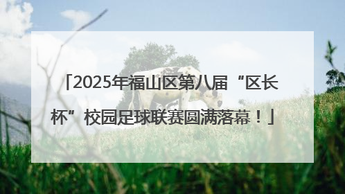 2025年福山区第八届“区长杯”校园足球联赛圆满落幕！