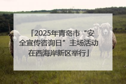 2025年青岛市“安全宣传咨询日”主场活动在西海岸新区举行