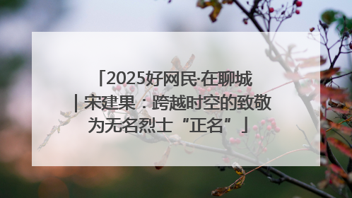 2025好网民·在聊城｜宋建果：跨越时空的致敬 为无名烈士“正名”