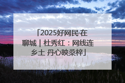 2025好网民·在聊城｜杜秀红：网线连乡土 丹心映桑梓