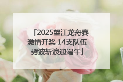 2025望江龙舟赛激情开桨 14支队伍劈波斩浪迎端午