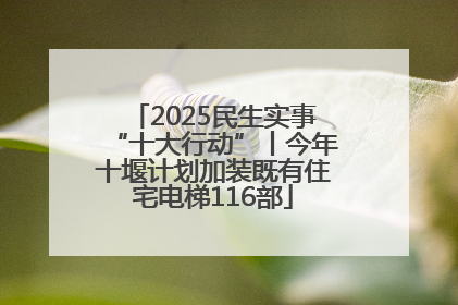 2025民生实事“十大行动”丨今年十堰计划加装既有住宅电梯116部