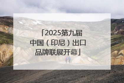 2025第九届中国（印尼）出口品牌联展开幕