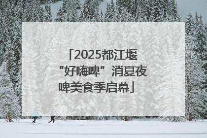 2025都江堰“好嗨啤”消夏夜啤美食季启幕