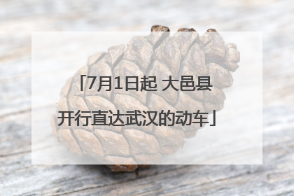 7月1日起 大邑县开行直达武汉的动车