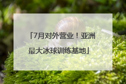 7月对外营业！亚洲最大冰球训练基地