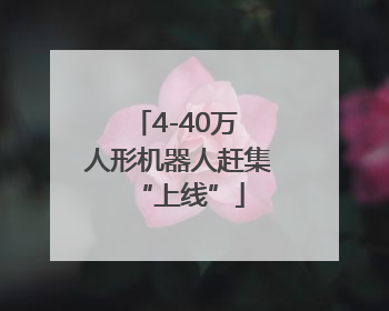 4-40万 人形机器人赶集“上线”