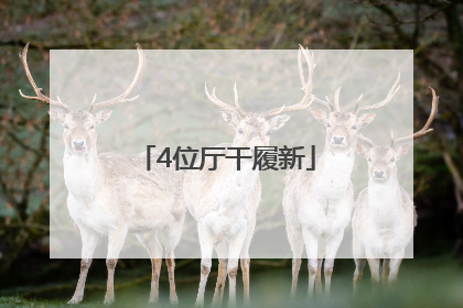 4位厅干履新