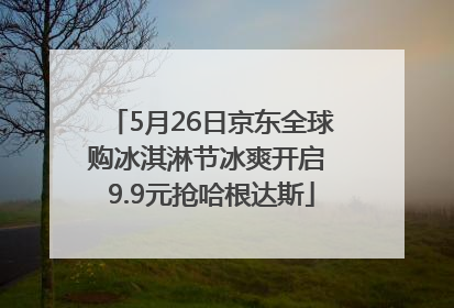 5月26日京东全球购冰淇淋节冰爽开启 9.9元抢哈根达斯