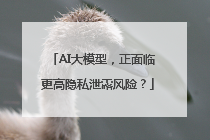 AI大模型，正面临更高隐私泄露风险？