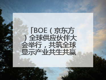 BOE（京东方）全球供应伙伴大会举行，共筑全球显示产业共生共赢新格局
