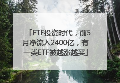 ETF投资时代，前5月净流入2400亿，有一类ETF被越涨越买