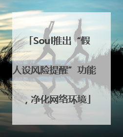 Soul推出“假人设风险提醒”功能，净化网络环境